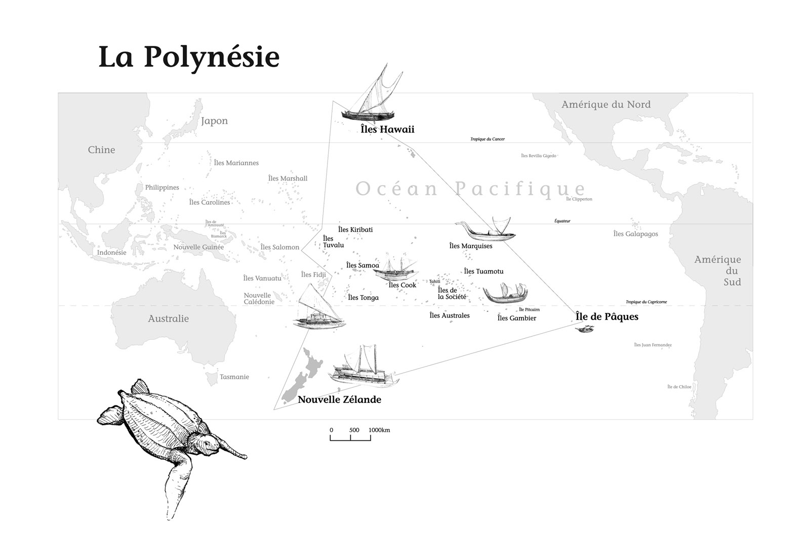 carte du Pacifique illustrée