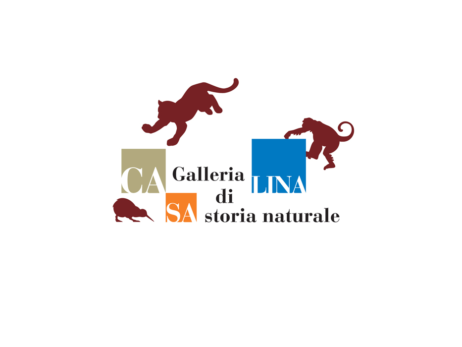 Galeria_Storia_Naturale_Casalina