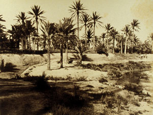 foto antica d'oasi