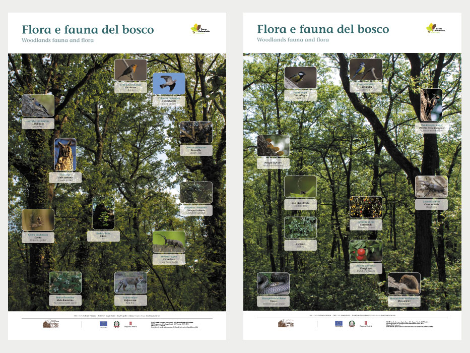 museo_diffuso_torre_colombaia