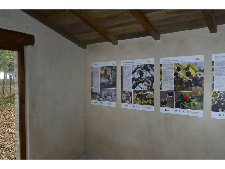 museo_diffuso_torre_colombaia