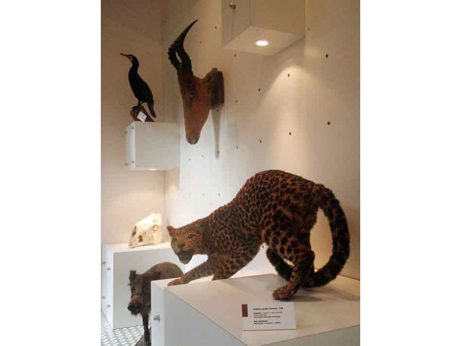 Galeria_Storia_Naturale_Casalina