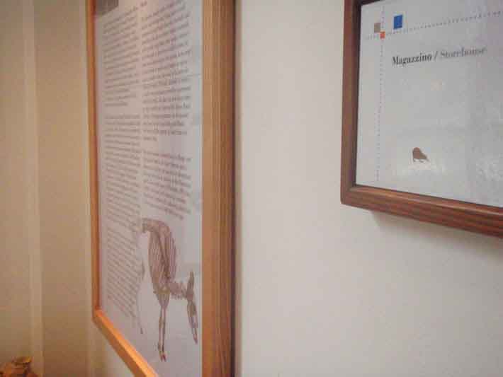 Galeria_Storia_Naturale_Casalina
