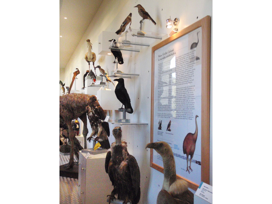 Galeria_Storia_Naturale_Casalina