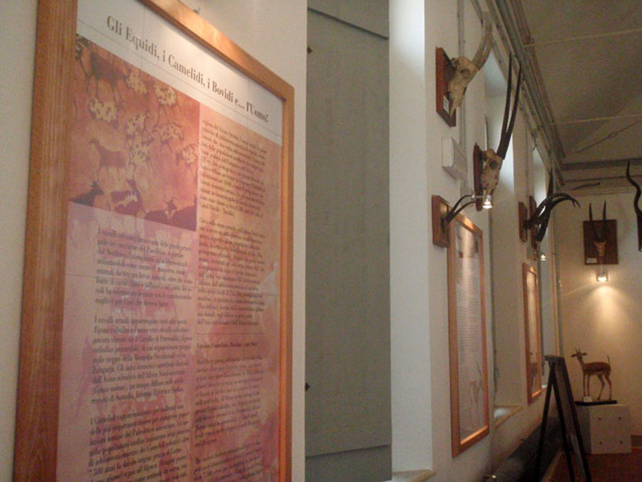 Galeria_Storia_Naturale_Casalina