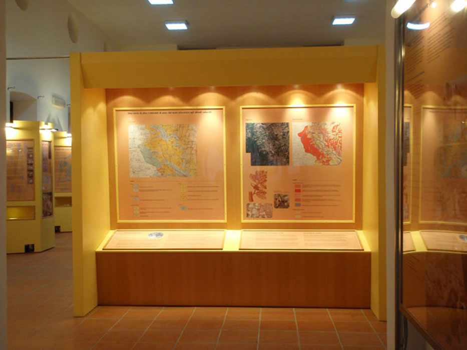 Museo_Allerona
