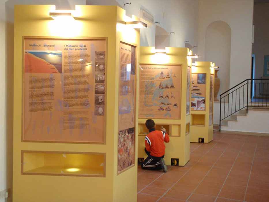 Museo_Allerona