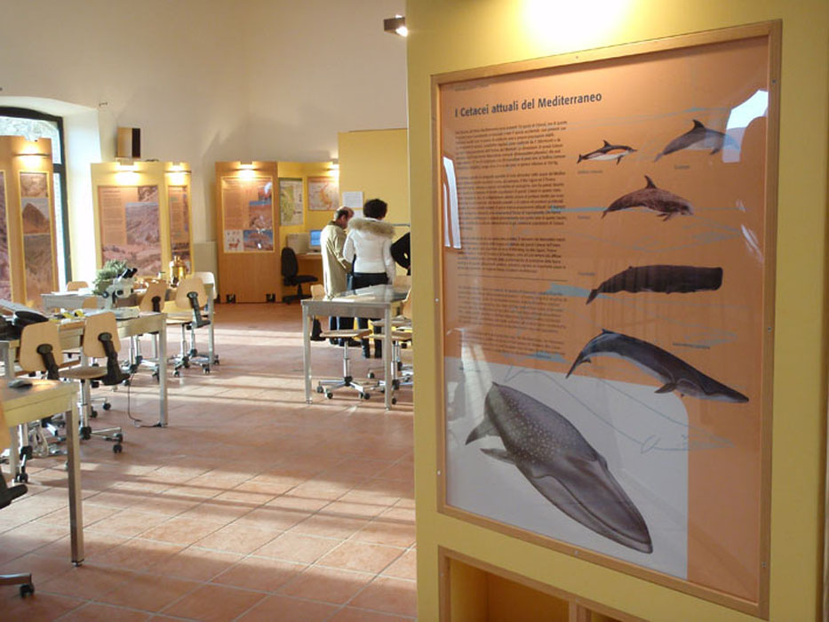 Museo_Allerona