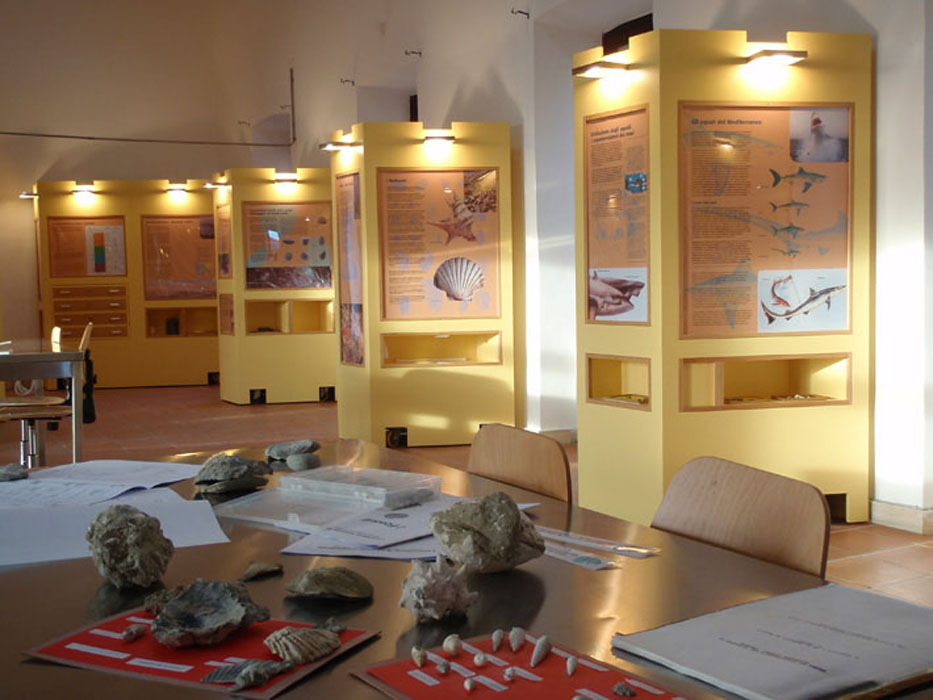 Museo_Allerona
