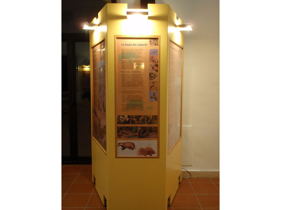 Museo_Allerona