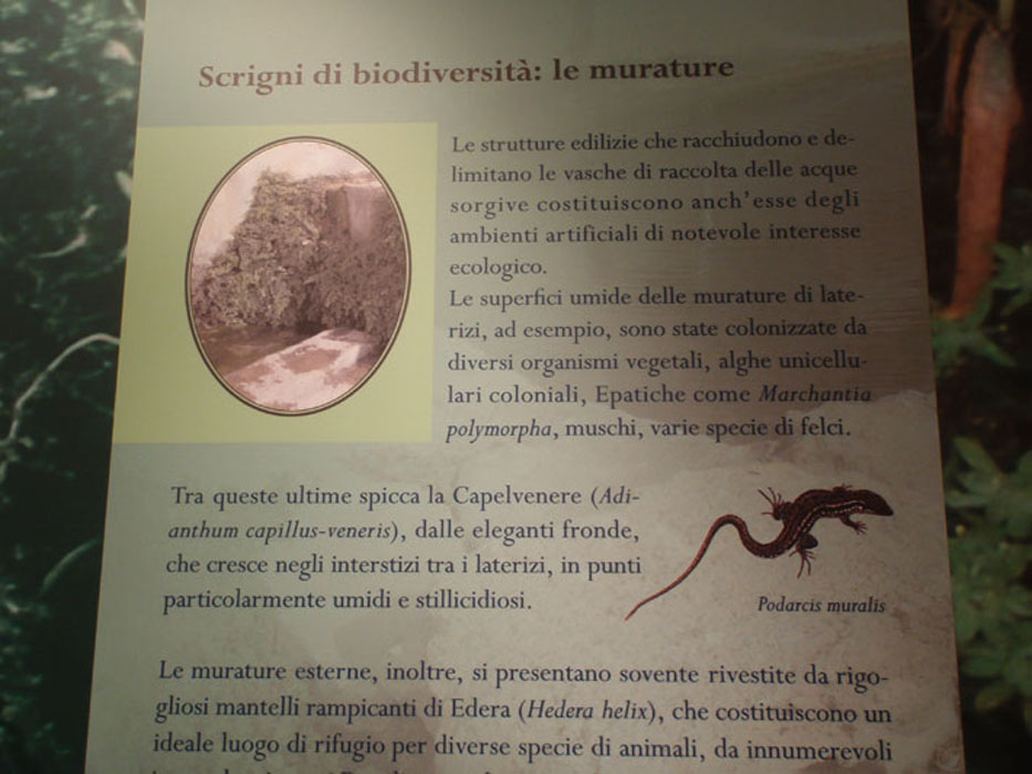 Museo_Citta_della_Pieve