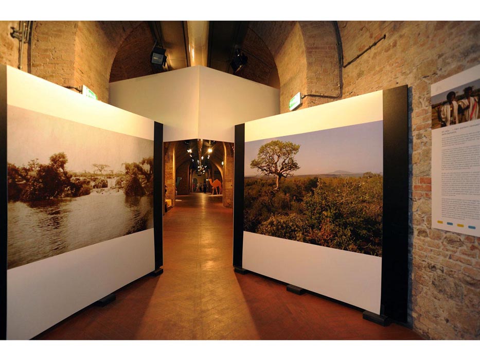 Orazio_antinori