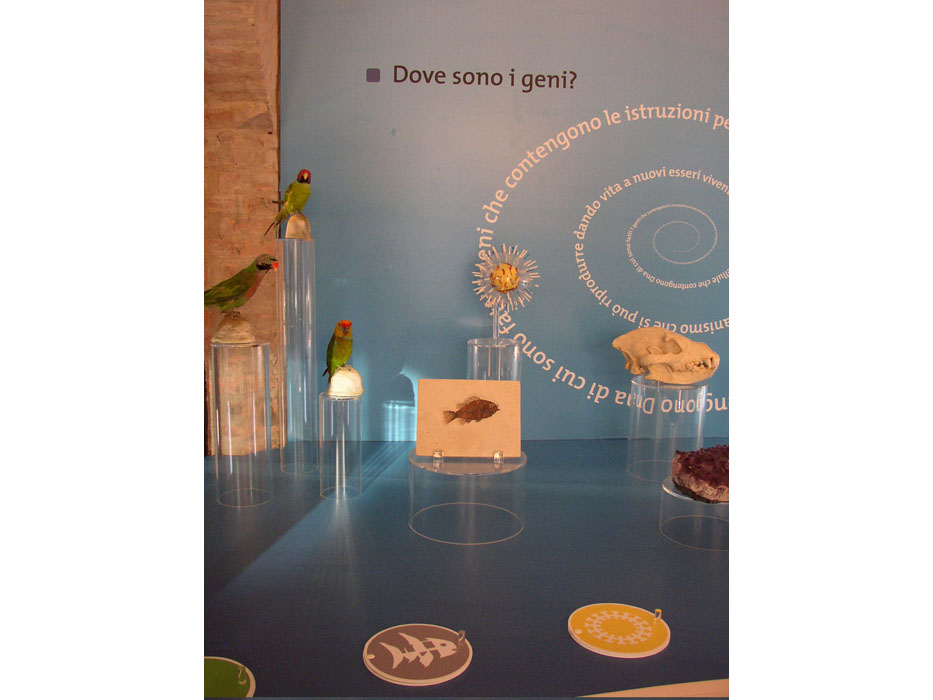 DNA_fossil