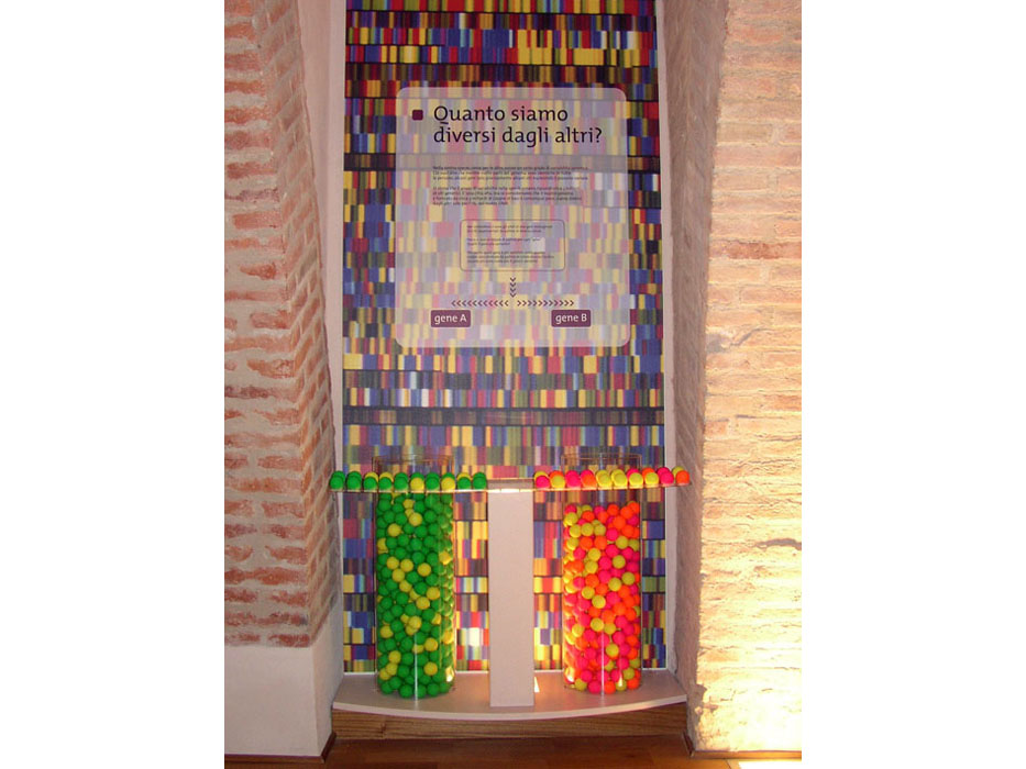 DNA_diversity